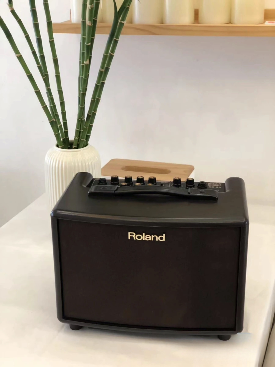 Roland AC-33-RW 空心吉他音箱玫瑰木色– Flight Music Centre Limited