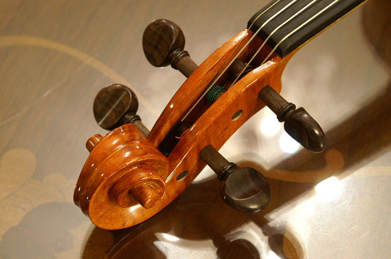 Pure Japanese Ena Violin No.10 (4/4~1/16)